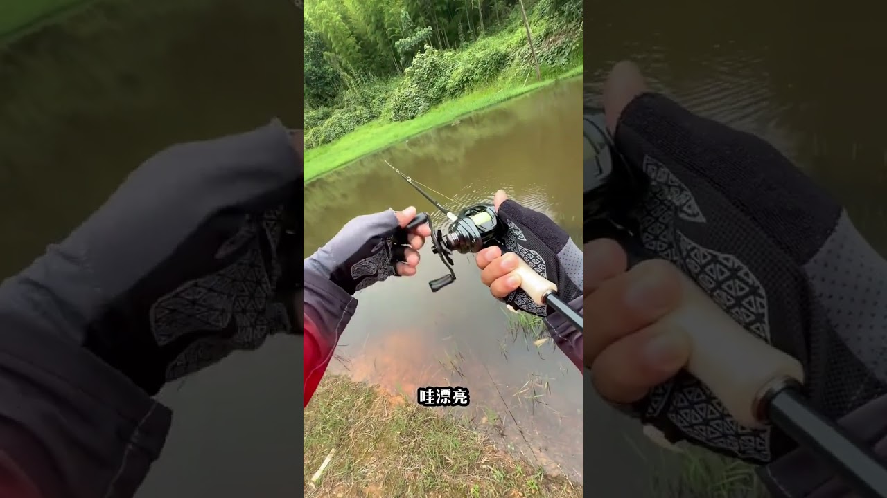 不可思议的假饵钓真鱼一镜到底带你体验水面拖拉机中鱼全过程 #路亚#假饵钓鱼#中鱼全过程#一镜到底#挑战路亚十分钟中鱼