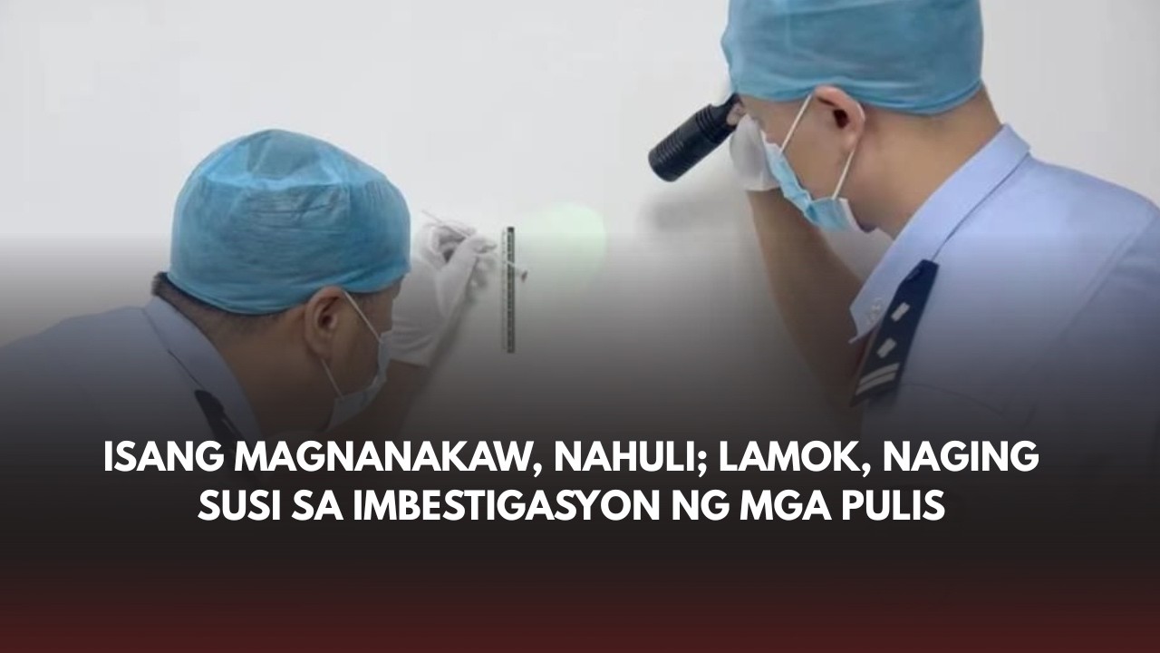 Isang magnanakaw, nahuli; lamok, naging susi sa imbestigasyon ng mga pulis!