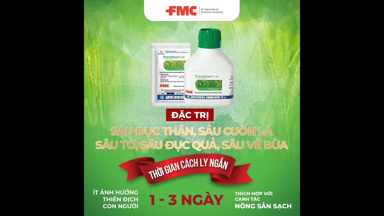 PREVATHON®: ĐẶC TRỊ SÂU ĐỤC THÂN – SÂU CUỐN LÁ | ĐÁNH GIÁ TỪ BÀ CON NÔNG DÂN