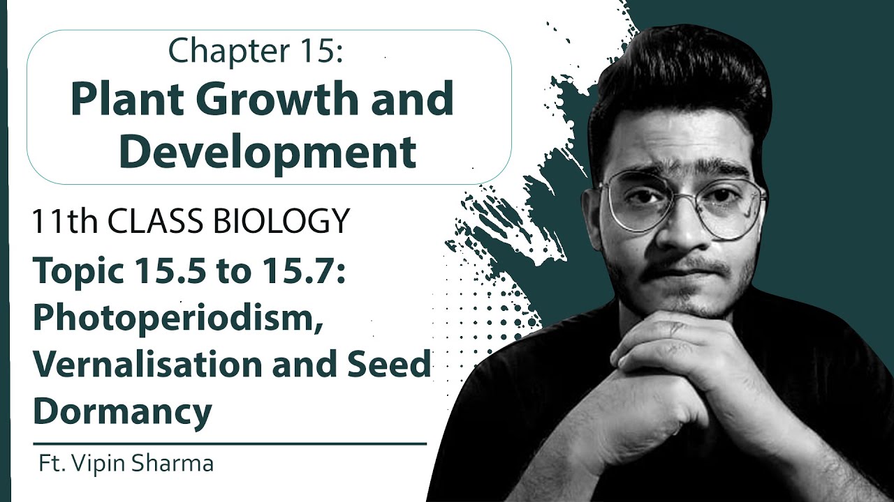 Topic 15.5 to 15.7: Photoperiodism (LDP, SDP & DNP), Vernalization and Seed Dormancy | Plant Growth