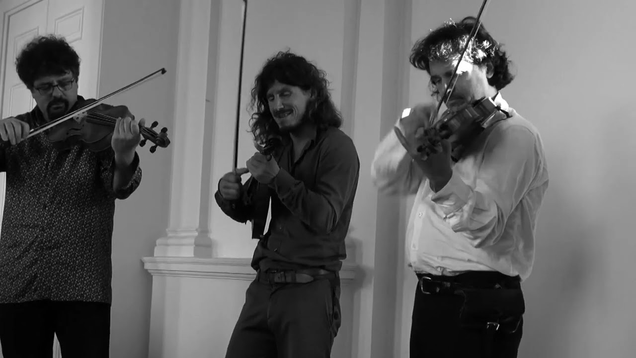 Tcha Limberger et les Violons de Bruxelles -  Ultrafox