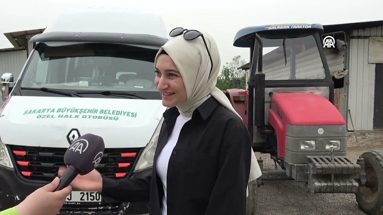 Genç kadın hem hayvancılık hem dolmuş şoförlüğü yapıyor