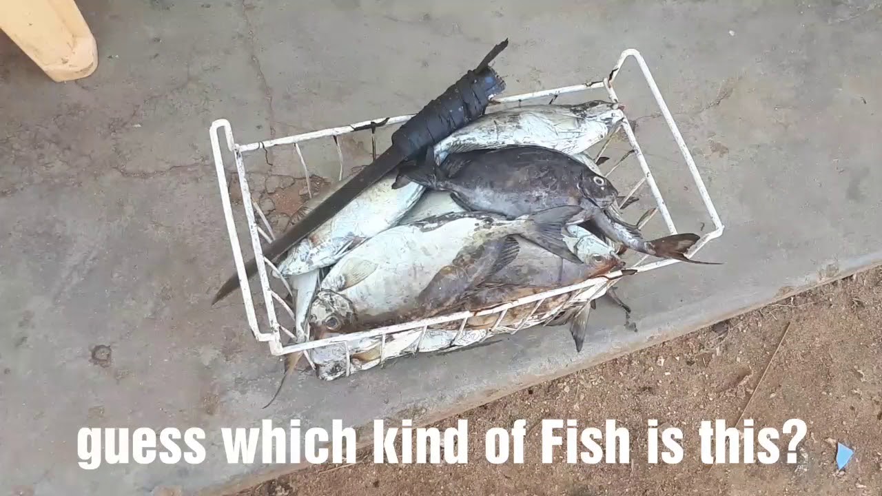 TAKAUNGU... BILADI YETU