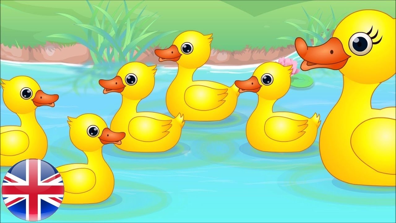Hey little duck