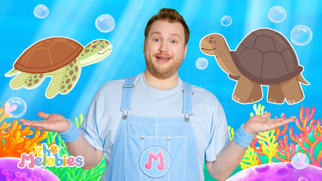 Baby Turtles Song | Tortoise and Turtle | Early Learners Interested in Animals