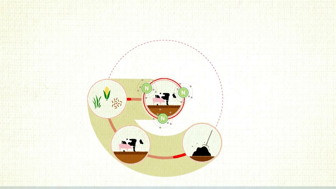 Ammoniakproblematiek veehouderij uitgelegd