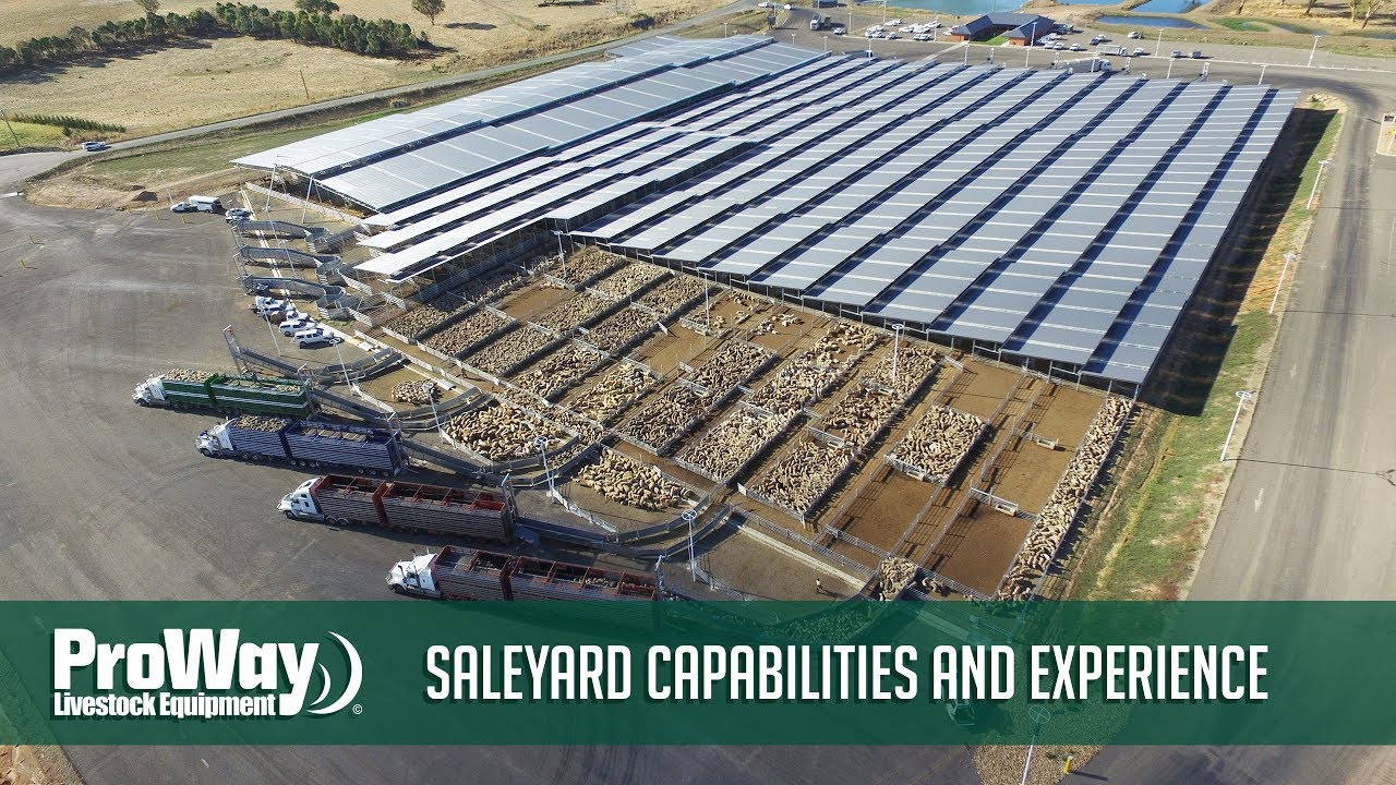 ProWay  - Saleyard Capabilities and Experience