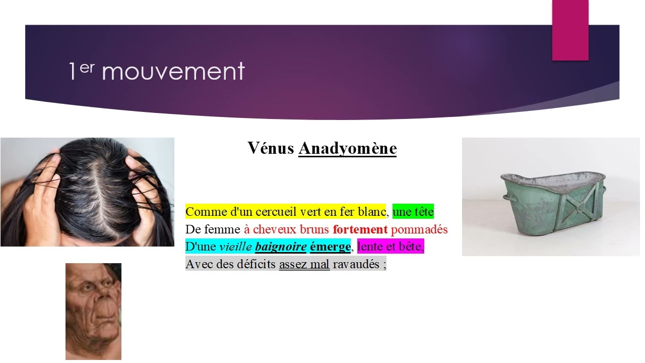 V&eacute;nus anadyom&egrave;ne&nbsp;video