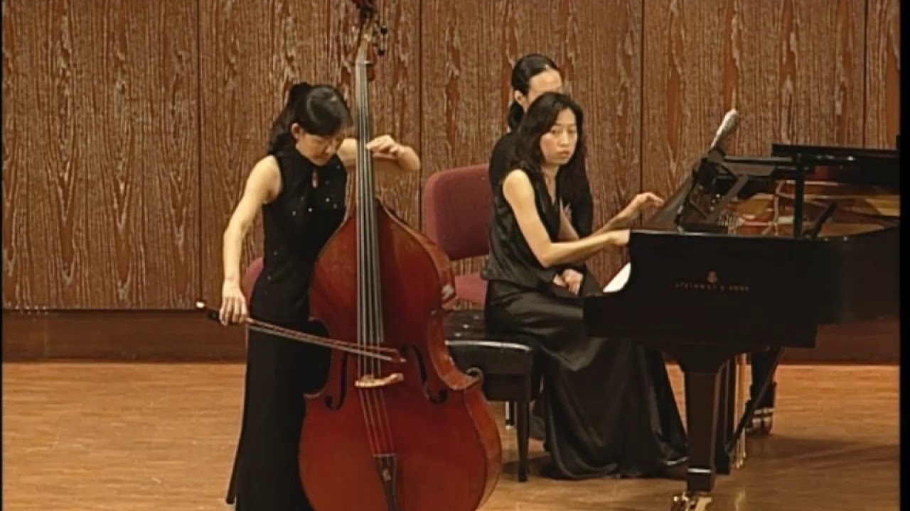 N. Paganini - Variations for One String | Emilie Kuo (Live 2005)