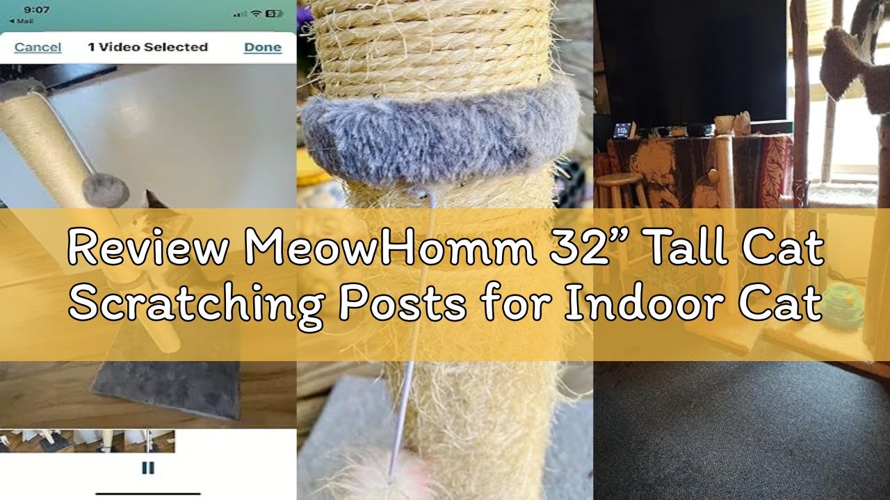 Review MeowHomm 32” Tall Cat Scratching Posts for Indoor Cats Adults with 2 Hanging Ball, Large Cat