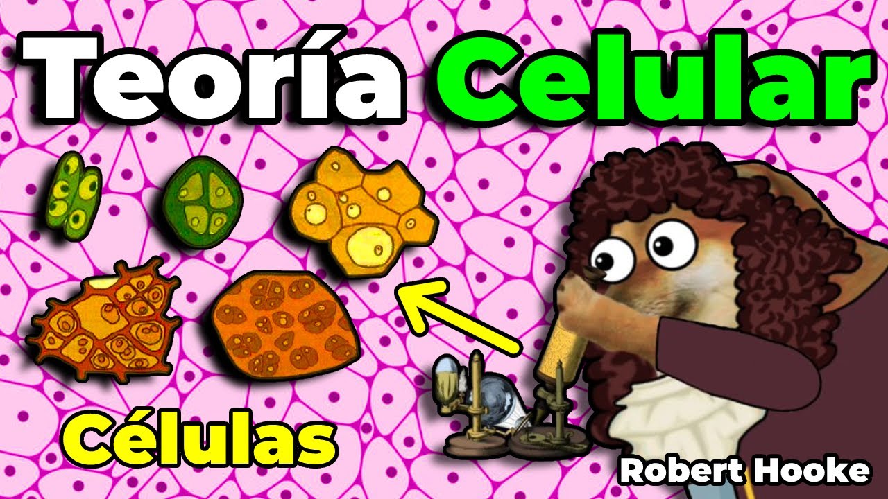 LA TEOR&Iacute;A CELULAR EXPLICADA CON CHEEMS - aprende con cheems