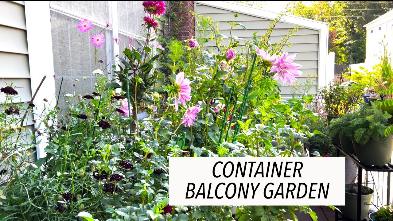Container Balcony Garden 2022 | Cut Flower Garden