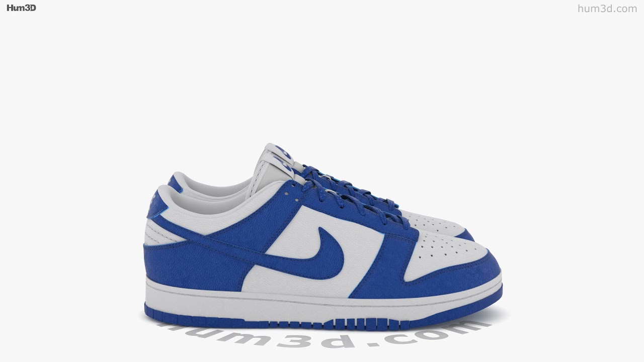 Nike Dunk 3D model by 3DModels.org