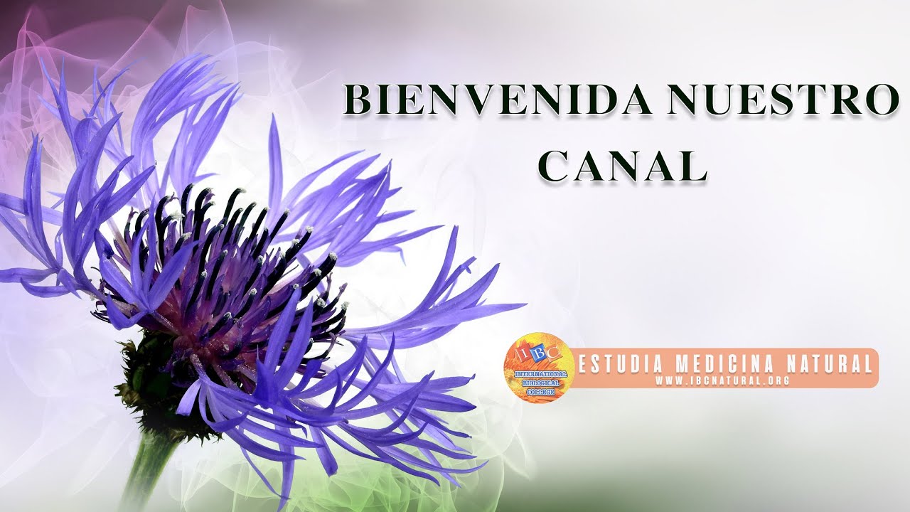 Bienvenida a International Biological College