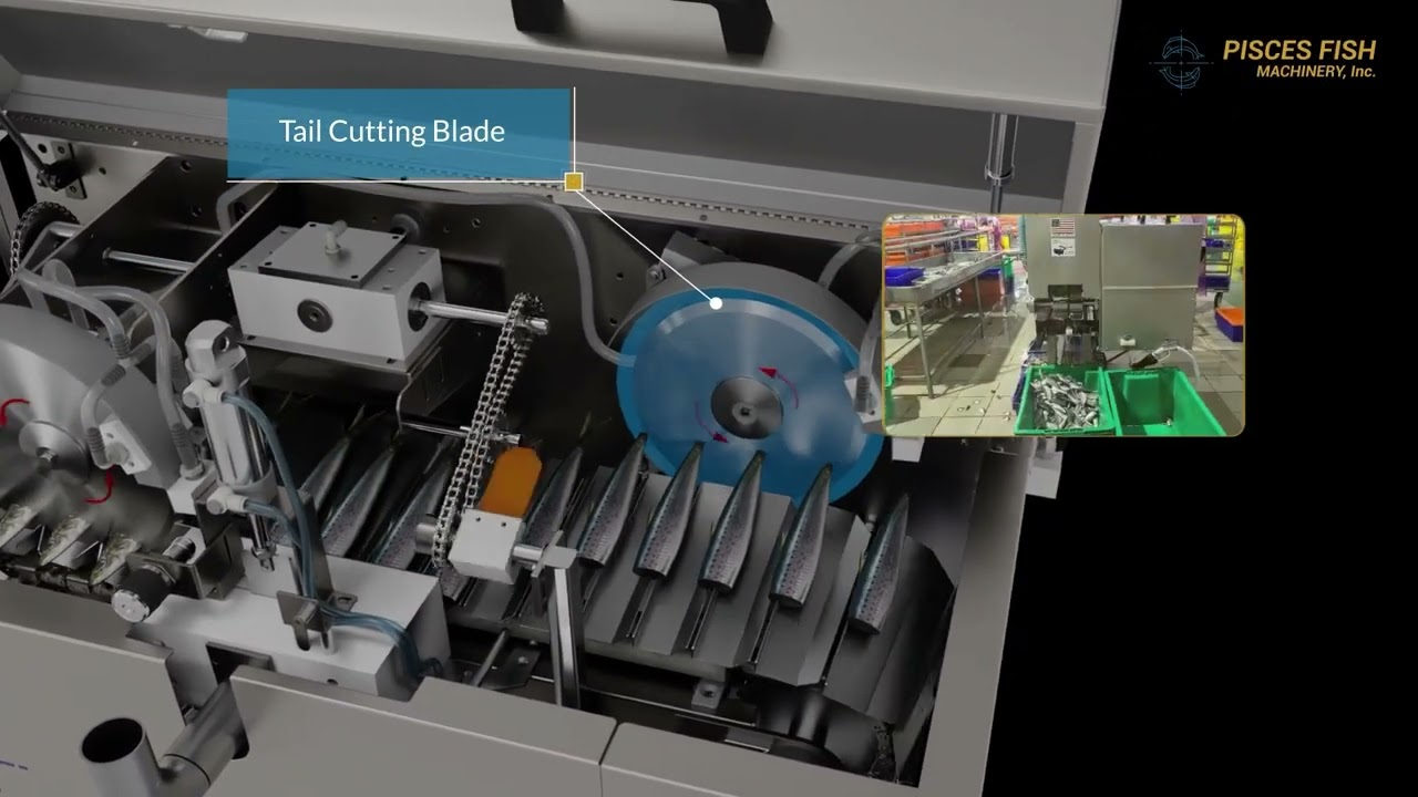 Boost Your Sardine Processing with the PN Series