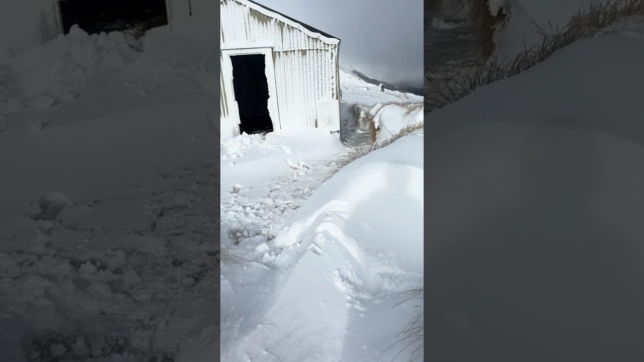 Survival shelter post snowstorm - Blizzard camping