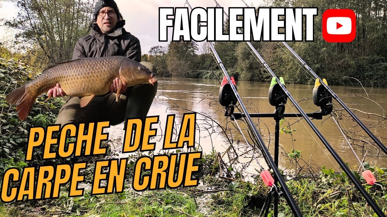 PECHE A LA CARPE pendant LA CRUE