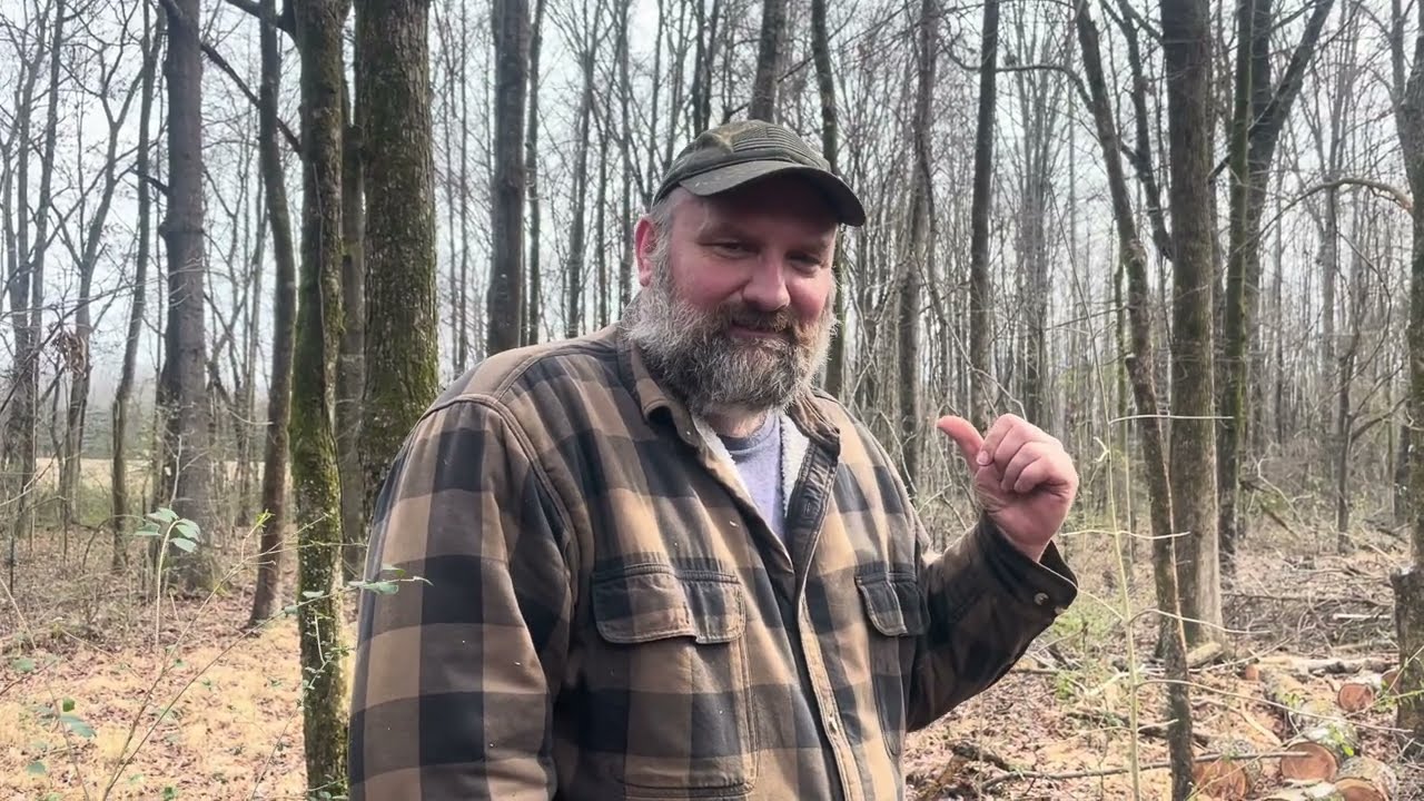 Splitting Firewood With Splitting Maul