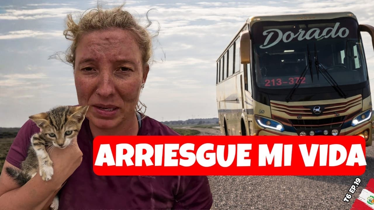 RESCATE EXTREMO en la ruta😭a un centímetro de la TRAGEDIA