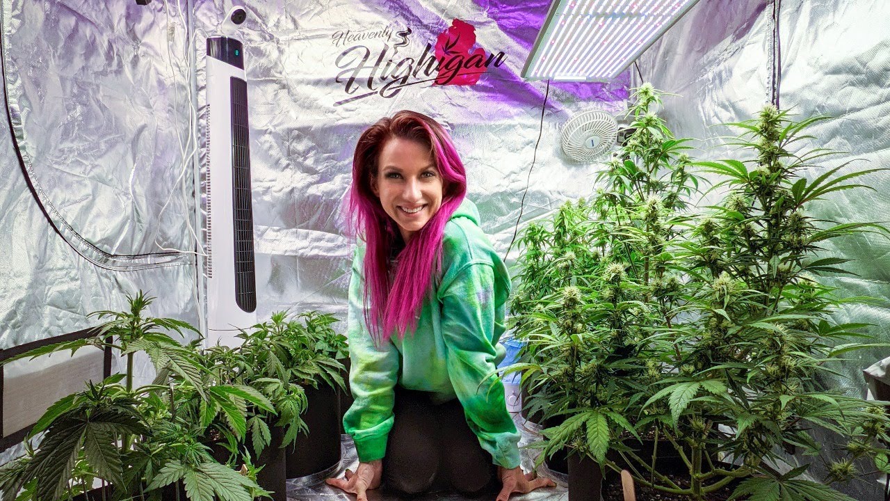 Thursday Night Live! Bong Rips & Plant Tips