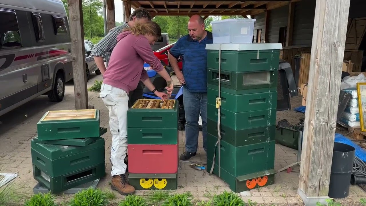 Start Varroa resistente project 2023