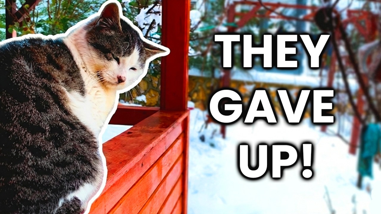They Weren't Ready For First Snow
