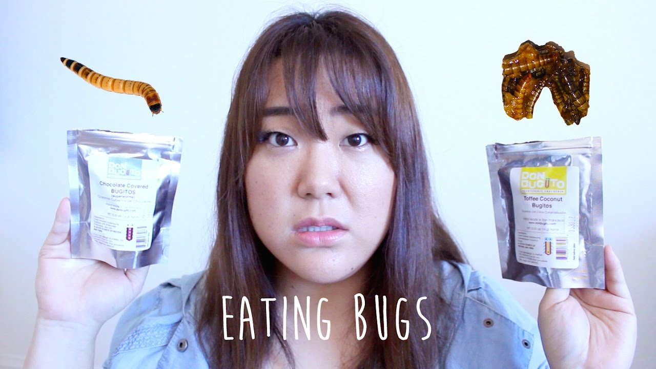 EATING CHOCOLATE COVERED BUGS