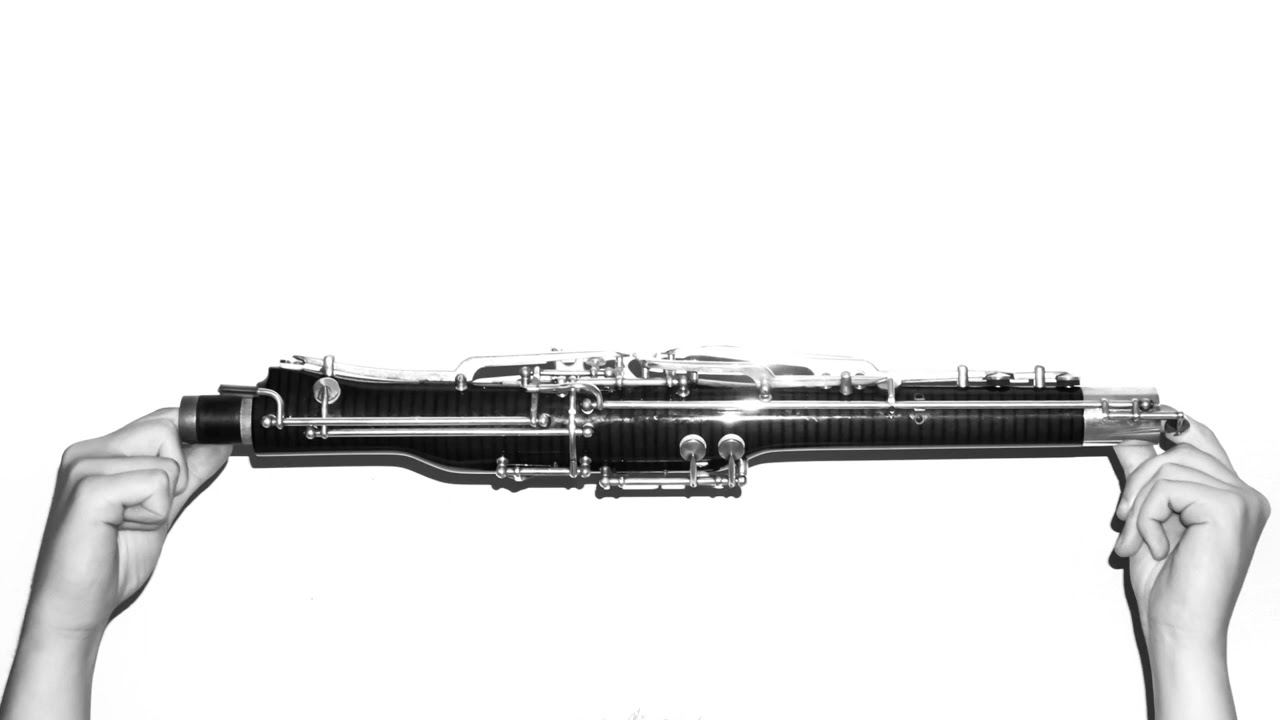 J. S. BACH: Fugue in G minor, BWV 578 for bassoons - Martina Miniussi