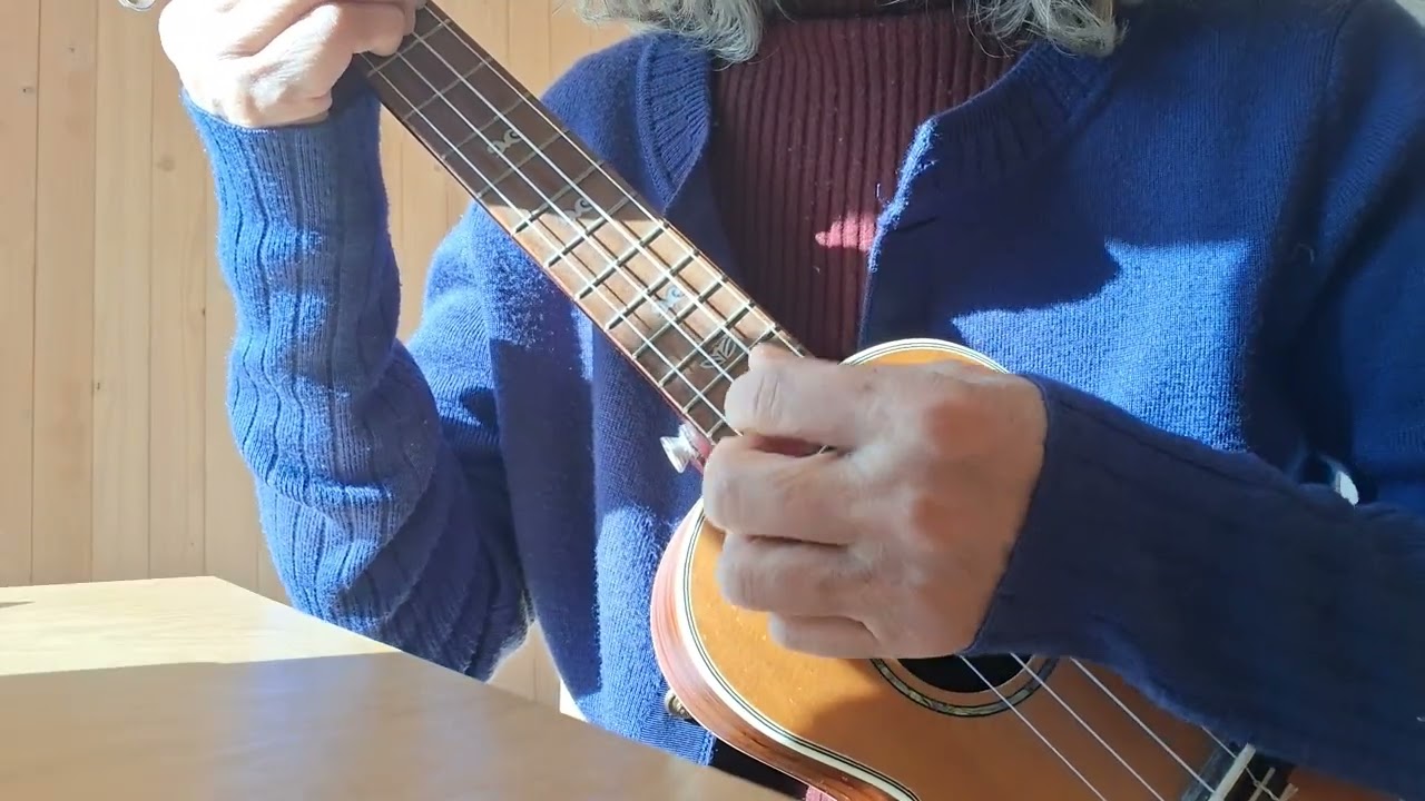 둘 다섯의 일기