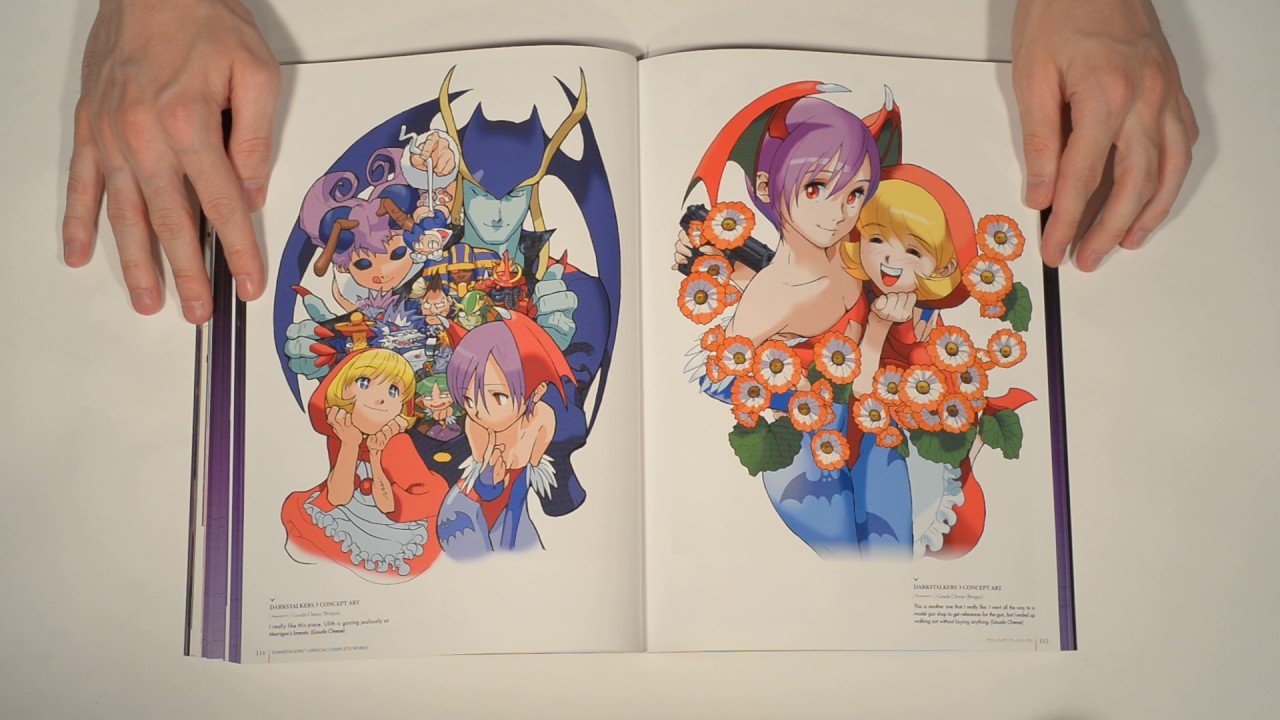 Darkstalkers Official Complete Works (Art Book)