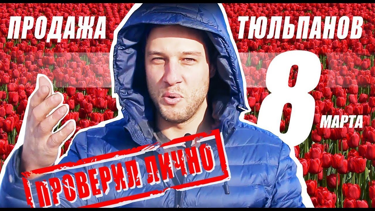Продажа тюльпанов на 8 марта. Как и сколько заработать?