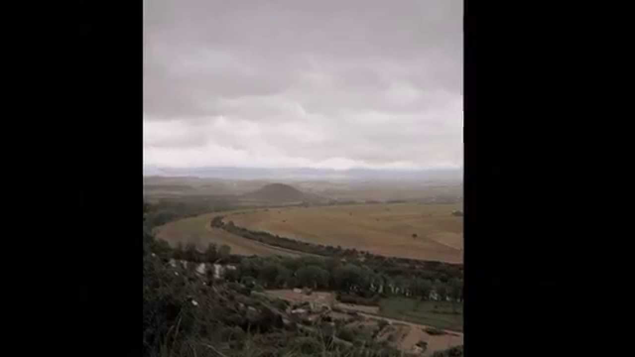paseo saludable:  El Mirador El Viñedo , de Logroño a El Cortijo ( La Rioja)