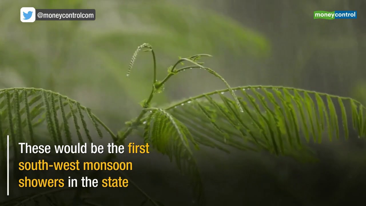 Widespread rainfall expected in Mumbai, Konkan between Tuesday & Thursday  IMD