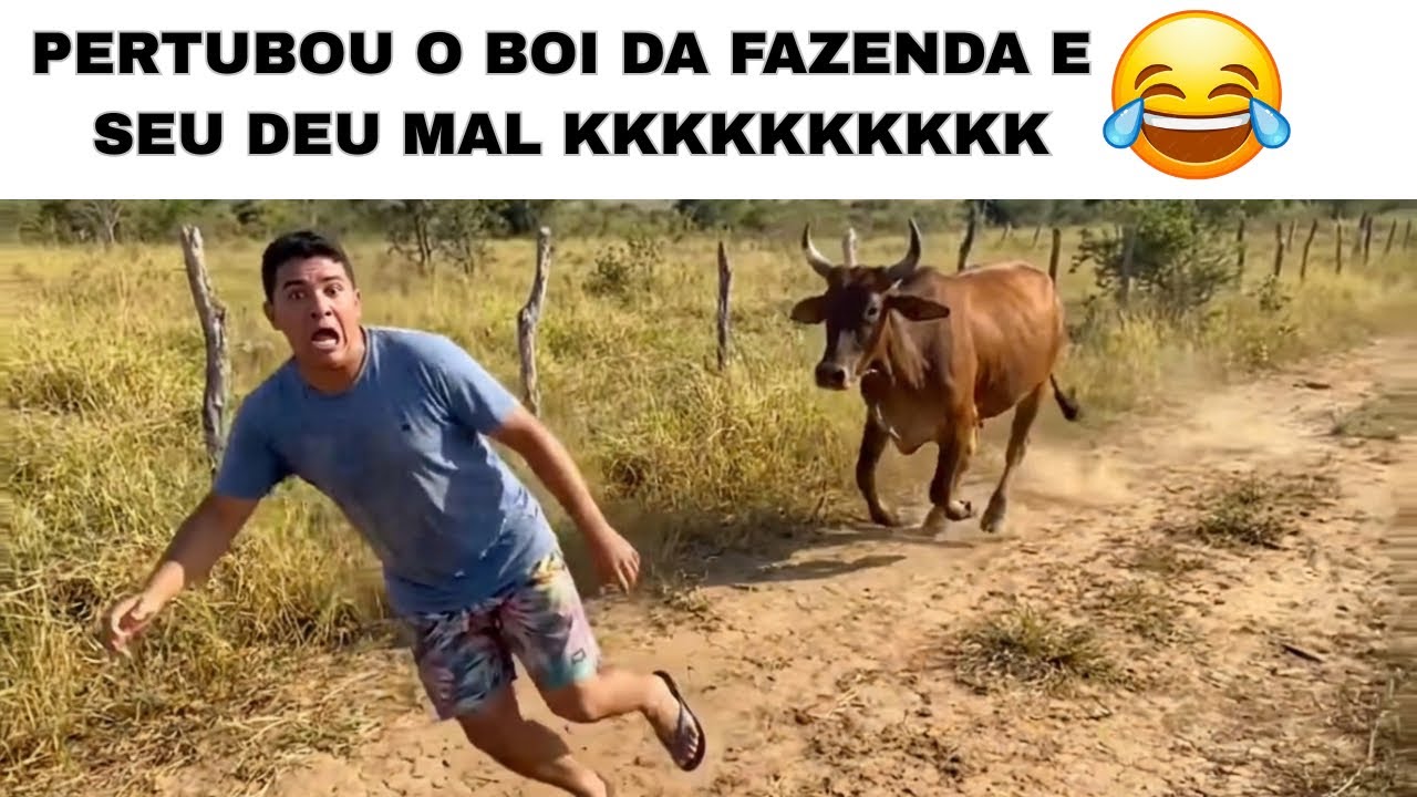 Hoje é Dia de dar Risada!! 😂🤣🔥(TENTE NÃO RIR) Memes do Brasil 🇧🇷 