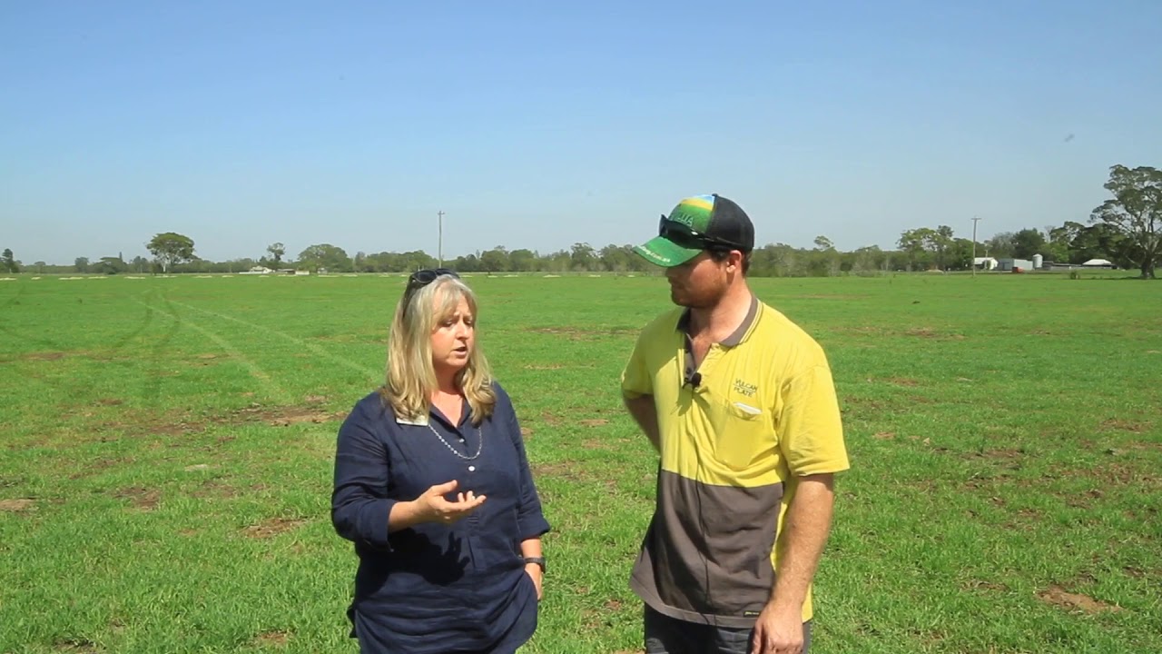 Managing New Regrowth Pastures, kikuyu Poisoning, Nitrate Toxicity, Grass Tetany, Pulp& Kidney