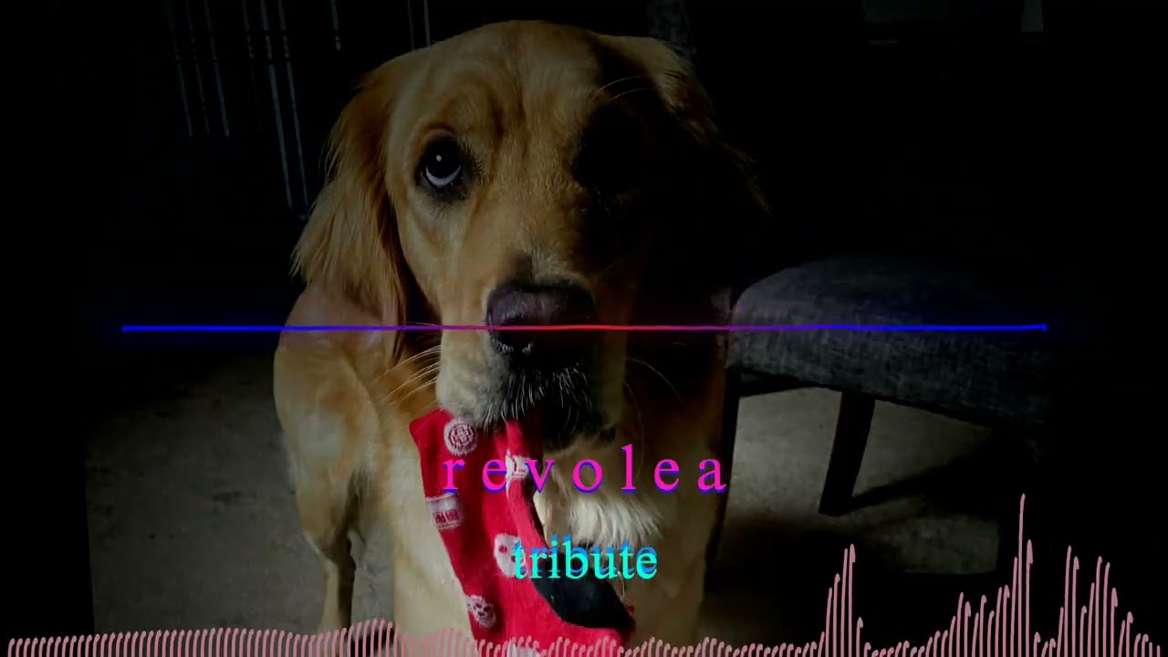 revolea - tribute ‎ #old
