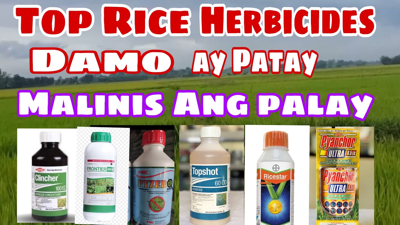 Mga mahuhusay na pamatay damo,post emergence herbicides