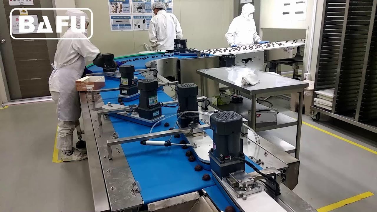 Bafu FWC350: High-Speed Flow Wrapper in Action at a South Korean Chocolate Factory