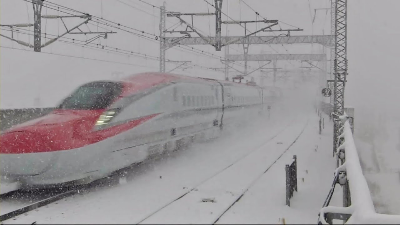 【定点観測】吹雪の中のJR東北新幹線新白河駅 Train in the snow 2014/2/8【速度計測付】