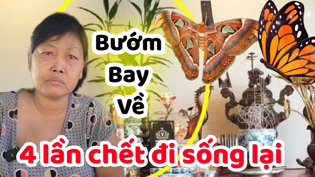 Linh Ứng - 4 Lần Chết Đi Sống Lại ! Cô Hiền Gặp Cặp Bướm Khổng Lồ Bay Tới Bàn Thờ.
