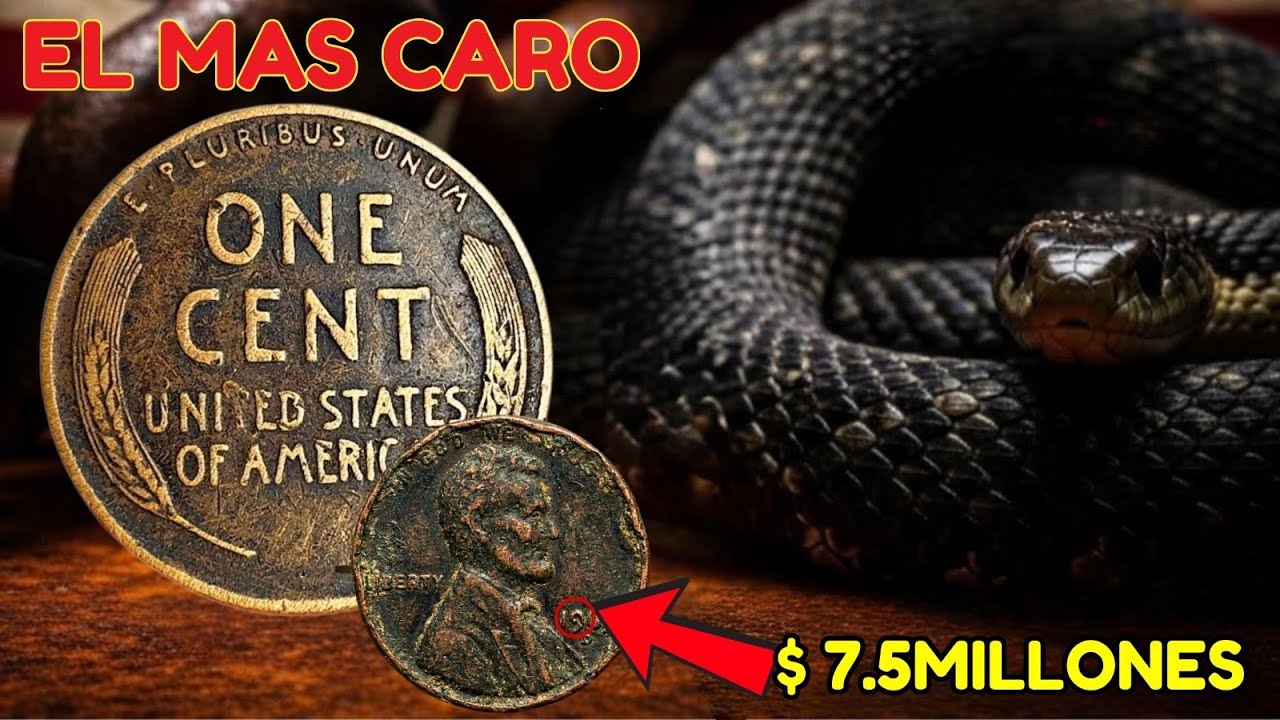 “¡Si tu centavo termina en 6… estás sosteniendo dinero que puede cambiar tu vida!” 💰