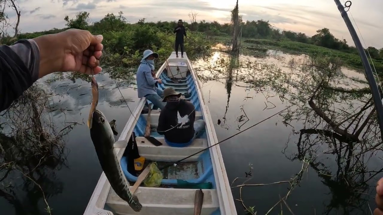 Today, the fish are biting a lot