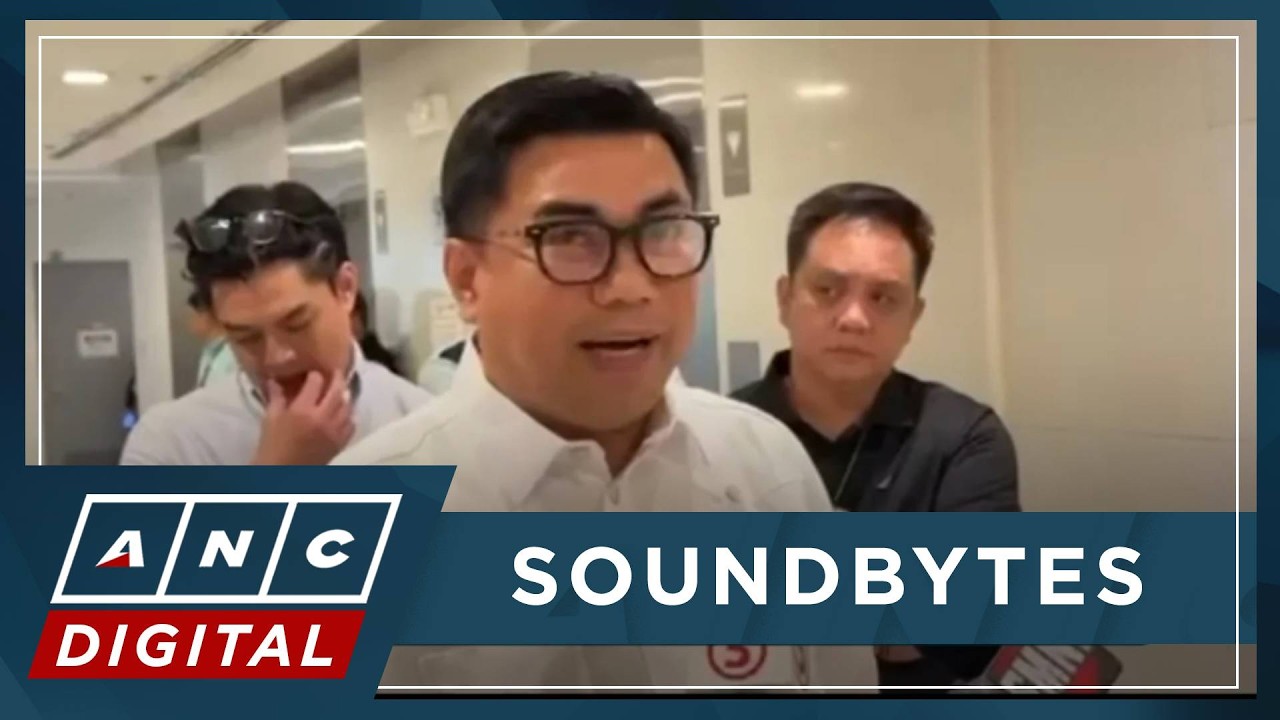 Matibag: I'm sure Cayetano will appreciate 2019 SEA Games being properly investigated | ANC