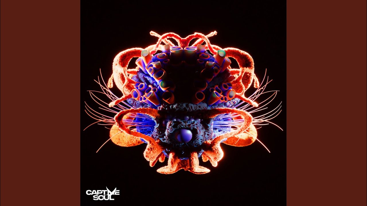 Distorted Love (Extended Mix)