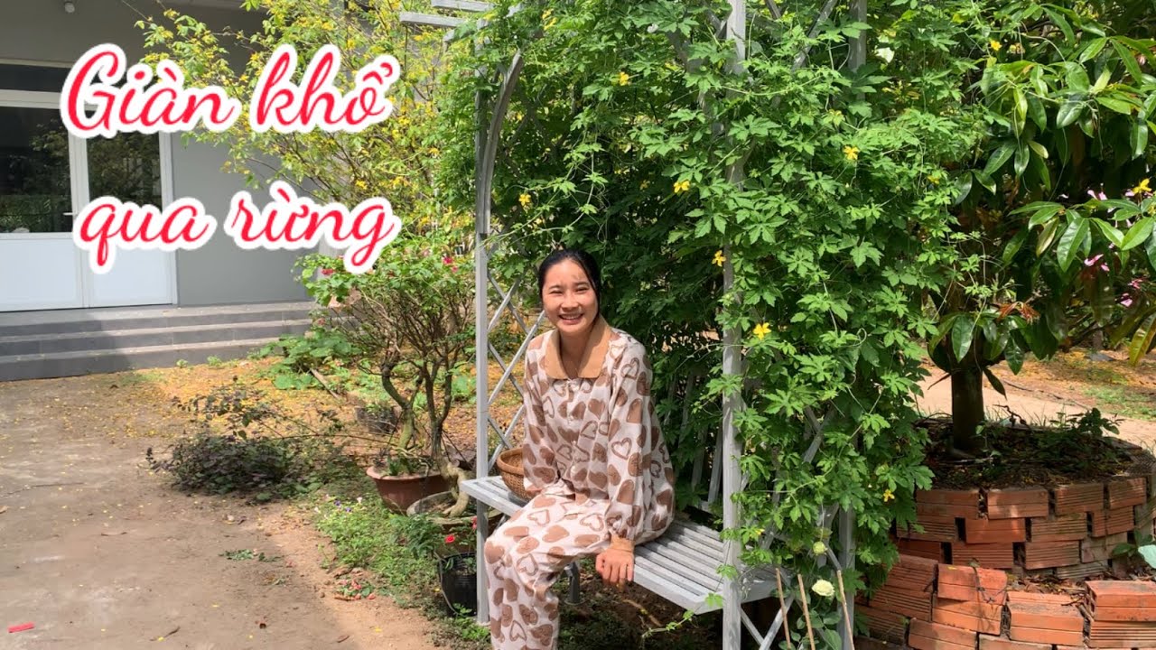 Bữa Cơm Đạm Bạc Sau Tết Canh Khổ Qua Rừng - Khô Lòng Tong 1 Nắng - Em Gái Quê
