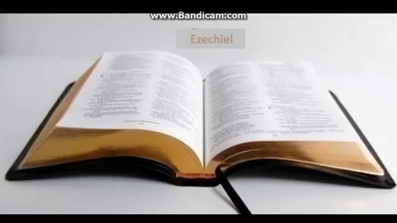 Biblia la rand: Ezechiel capitolul 29
