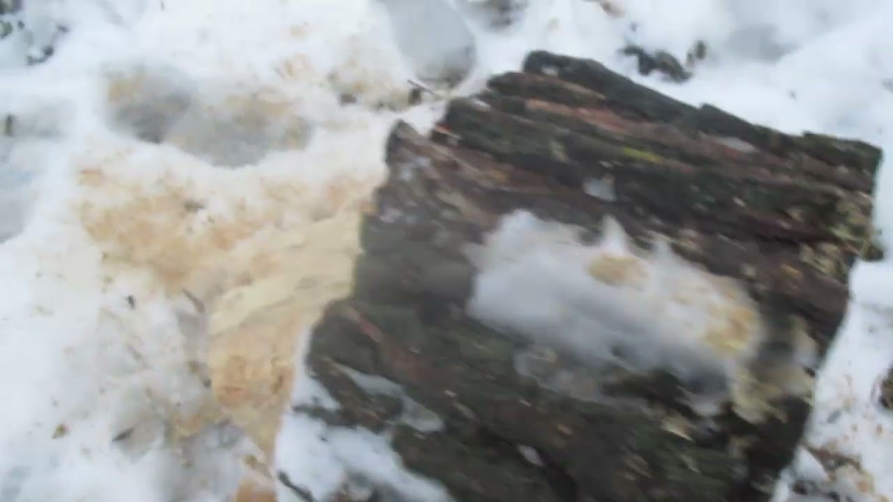 №4 Як зробити дупло