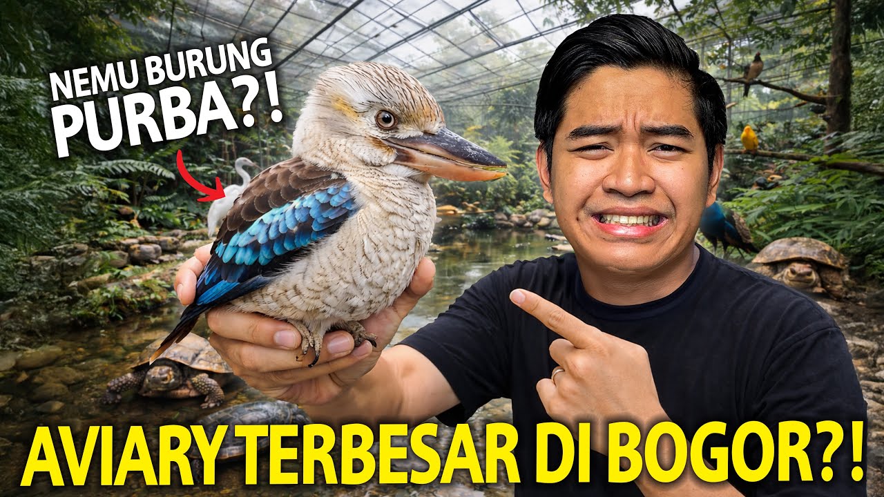 NEMU BURUNG PURBA DI AVIARY TERBESAR DI BOGOR! GREBEK ANIMALIUM 2025 (PART 1)