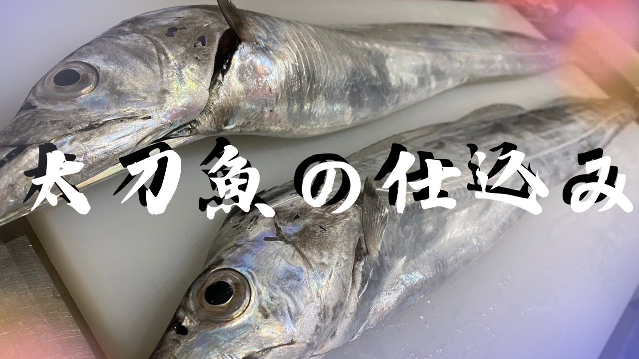 【仕込みシリーズ】太刀魚を捌きます