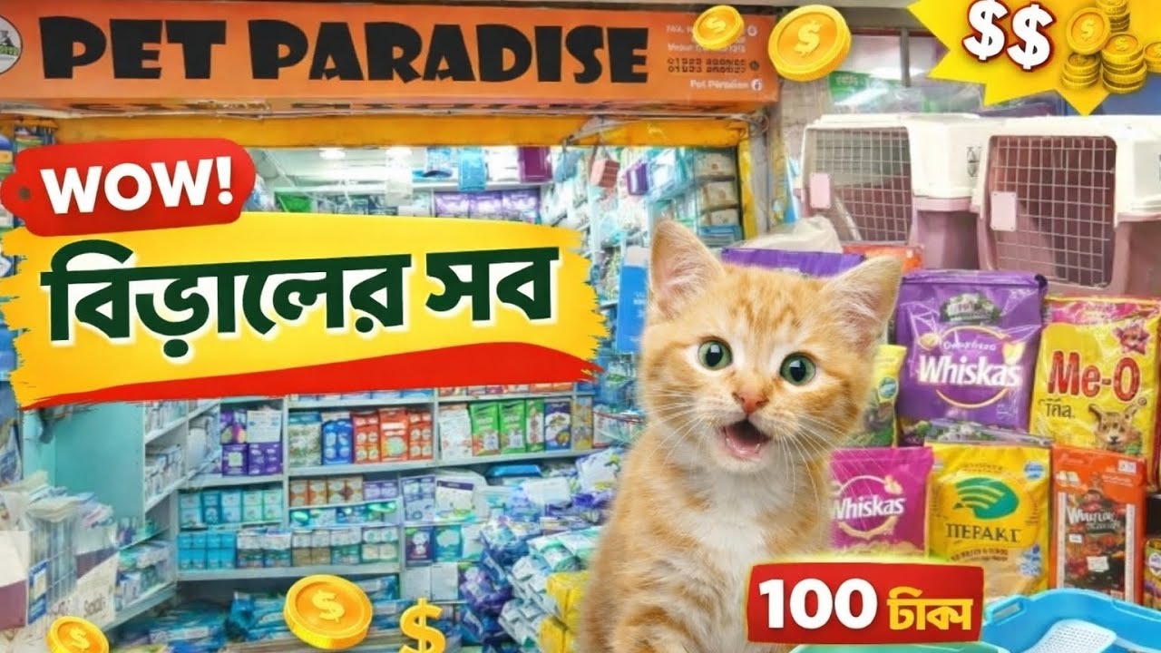 Persian Cat Food Price in Bangladesh 2026 😱 ১০০ টাকায় বিড়ালের খাবার? | Pet Paradise পার্শিয়ান ২০২৬